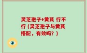 灵芝孢子+黄芪 行不行 (灵芝孢子与黄芪搭配，有效吗？)