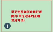 灵芝泡茶如何食用好呢图片(灵芝泡茶的正确食用方法)