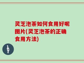 灵芝泡茶如何食用好呢图片(灵芝泡茶的正确食用方法)
