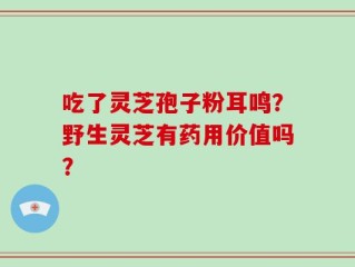 吃了灵芝孢子粉耳鸣？野生灵芝有药用价值吗？