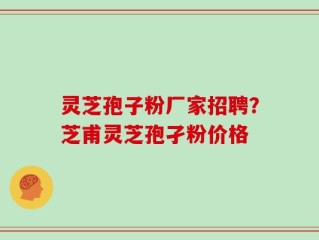 灵芝孢子粉厂家招聘？芝甫灵芝孢孑粉价格