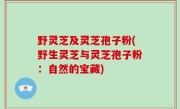 野灵芝及灵芝孢子粉(野生灵芝与灵芝孢子粉：自然的宝藏)