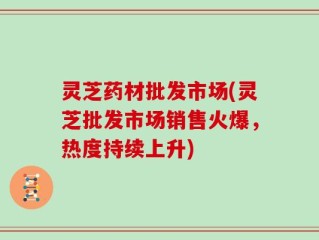 灵芝药材批发市场(灵芝批发市场销售火爆，热度持续上升)