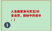 人生鹿茸海马灵芝(珍宝自然，探秘中药成分。)