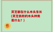 灵芝都在什么木头生长(灵芝依附的木头种类是什么？)
