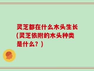 灵芝都在什么木头生长(灵芝依附的木头种类是什么？)
