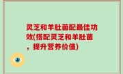 灵芝和羊肚菌配最佳功效(搭配灵芝和羊肚菌，提升营养价值)
