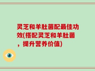 灵芝和羊肚菌配最佳功效(搭配灵芝和羊肚菌，提升营养价值)