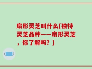 扇形灵芝叫什么(独特灵芝品种——扇形灵芝，你了解吗？)