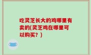 吃灵芝长大的鸡哪里有卖的(灵芝鸡在哪里可以购买？)