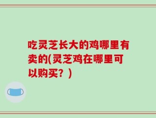 吃灵芝长大的鸡哪里有卖的(灵芝鸡在哪里可以购买？)