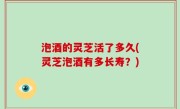 泡酒的灵芝活了多久(灵芝泡酒有多长寿？)