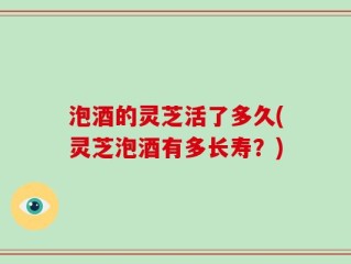 泡酒的灵芝活了多久(灵芝泡酒有多长寿？)