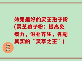 效果最好的灵芝孢子粉(灵芝孢子粉：提高免疫力，滋补养生，名副其实的“灵草之王”)