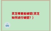 灵芝哪里能破壁(灵芝如何进行破壁？)