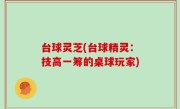台球灵芝(台球精灵：技高一筹的桌球玩家)