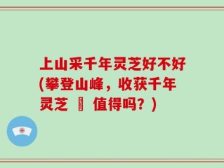 上山采千年灵芝好不好(攀登山峰，收获千年灵芝 – 值得吗？)