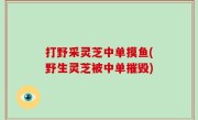 打野采灵芝中单摸鱼(野生灵芝被中单摧毁)