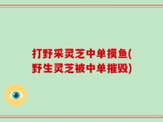打野采灵芝中单摸鱼(野生灵芝被中单摧毁)