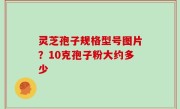 灵芝孢子规格型号图片？10克孢子粉大约多少