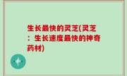 生长最快的灵芝(灵芝：生长速度最快的神奇药材)