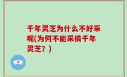 千年灵芝为什么不好采呢(为何不能采摘千年灵芝？)
