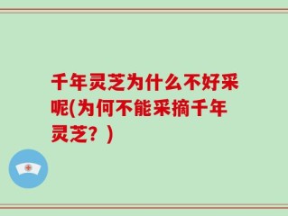 千年灵芝为什么不好采呢(为何不能采摘千年灵芝？)