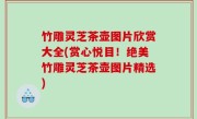 竹雕灵芝茶壶图片欣赏大全(赏心悦目！绝美竹雕灵芝茶壶图片精选)