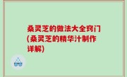 桑灵芝的做法大全窍门(桑灵芝的精华汁制作详解)