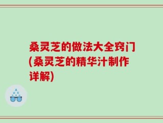 桑灵芝的做法大全窍门(桑灵芝的精华汁制作详解)