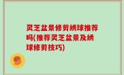灵芝盆景修剪绣球推荐吗(推荐灵芝盆景及绣球修剪技巧)