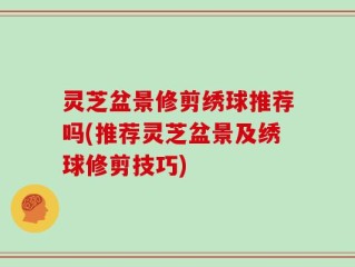 灵芝盆景修剪绣球推荐吗(推荐灵芝盆景及绣球修剪技巧)