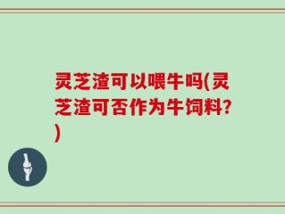 灵芝渣可以喂牛吗(灵芝渣可否作为牛饲料？)