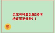 灵芝母种怎么做(如何培育灵芝母种？)