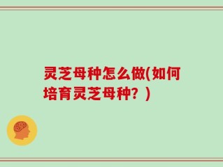 灵芝母种怎么做(如何培育灵芝母种？)