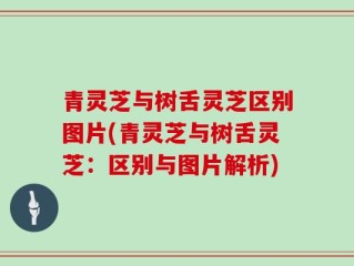 青灵芝与树舌灵芝区别图片(青灵芝与树舌灵芝：区别与图片解析)