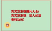 真灵芝泡茶图片大全(真灵芝泡茶：诱人的清香和功效)