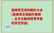 富硒灵芝茶的图片大全(富硒灵芝茶图片集锦，全方位解读营养丰富的灵芝饮品)