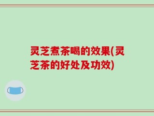 灵芝煮茶喝的效果(灵芝茶的好处及功效)