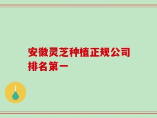 安徽灵芝种植正规公司排名第一