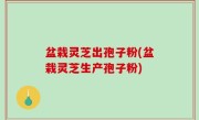 盆栽灵芝出孢子粉(盆栽灵芝生产孢子粉)