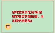 深圳宝安灵芝足球(深圳宝安灵芝俱乐部，向足球梦想起航)