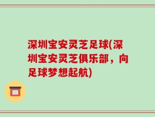 深圳宝安灵芝足球(深圳宝安灵芝俱乐部，向足球梦想起航)