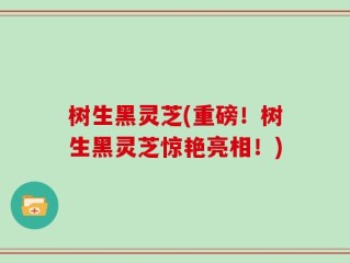 树生黑灵芝(重磅！树生黑灵芝惊艳亮相！)