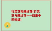 竹灵芝和藏红花(竹灵芝与藏红花——双重中药效益)