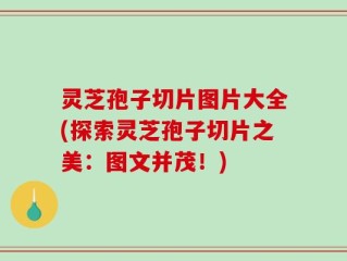 灵芝孢子切片图片大全(探索灵芝孢子切片之美：图文并茂！)