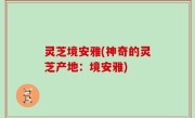 灵芝境安雅(神奇的灵芝产地：境安雅)