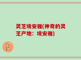 灵芝境安雅(神奇的灵芝产地：境安雅)