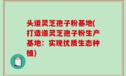 头道灵芝孢子粉基地(打造道灵芝孢子粉生产基地：实现优质生态种植)