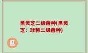 黑灵芝二级菌种(黑灵芝：珍稀二级菌种)